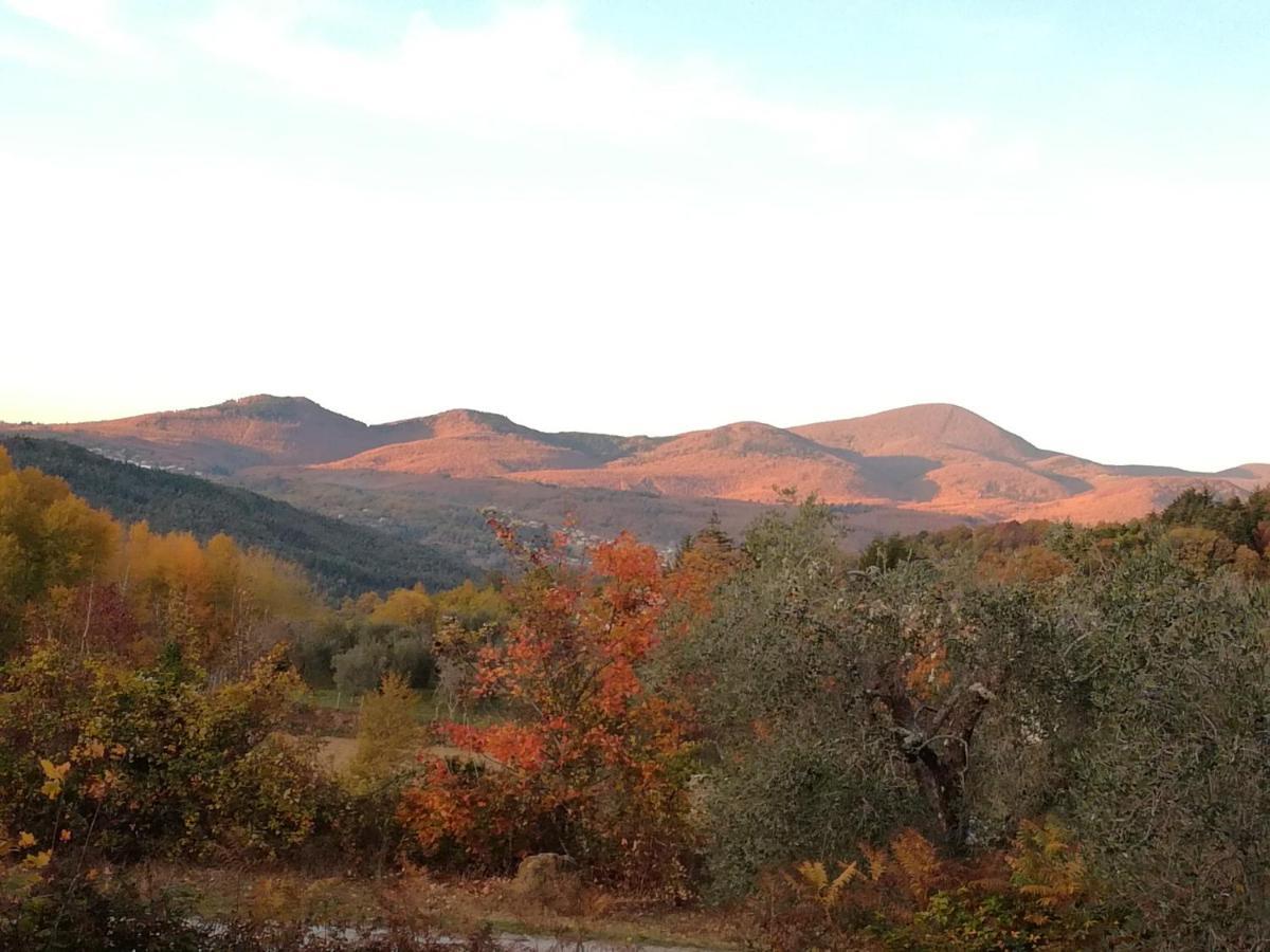 Podere Di Maggio - Glamping Tent 3 ซานตาฟิโอรา ภายนอก รูปภาพ
