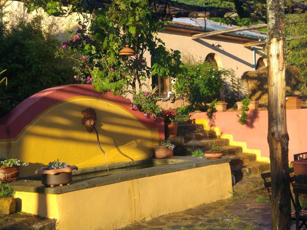 Podere Di Maggio - Glamping Tent 3 ซานตาฟิโอรา ภายนอก รูปภาพ